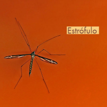 estrofulo pediatra jardins